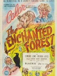 The Enchanted Forest