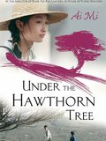 Under the Hawthorn Tree