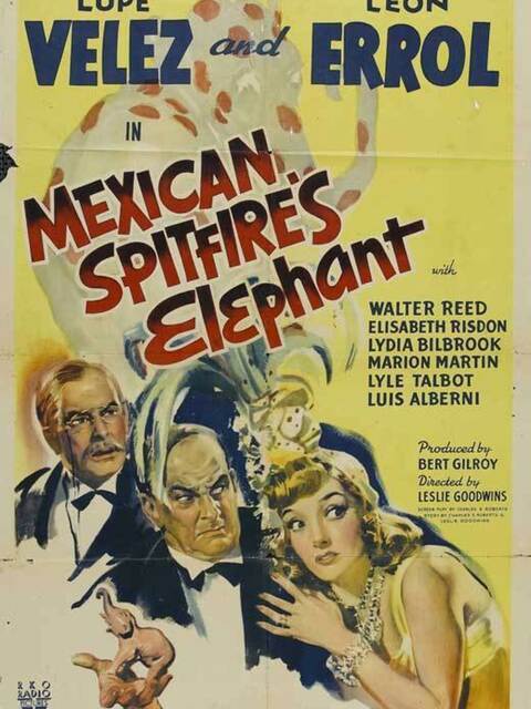Mexican Spitfire's Elephant