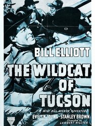 The Wildcat of Tucson