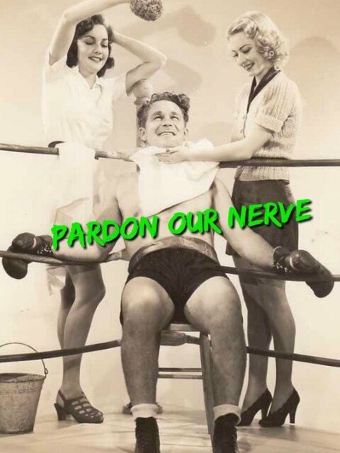 Pardon Our Nerve