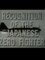 Recognition of the Japanese Zero Fighter
