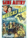 Mexicali Rose