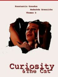 Curiosity & the Cat