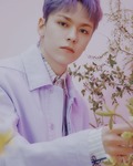  Vernon