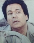 Abdel Moneim Elmarsfy