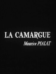 La Camargue
