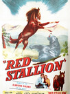 The Red Stallion