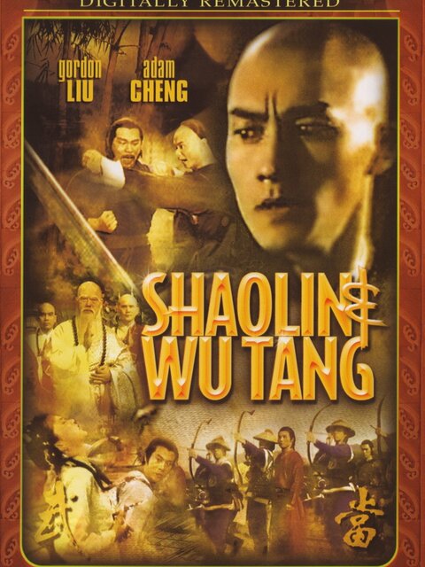 Shaolin contre Wu Tong