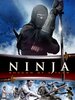 Ninja II : Shadow of a Tear
