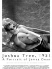 Joshua Tree, 1951: Un portrait de James Dean