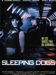 Sleeping Dogs