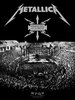 Metallica: Français pour une nuit