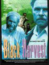 La Trilogie Papoue : Black Harvest