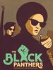 The Black Panthers : Vanguard of the Revolution