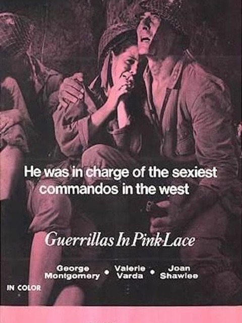 Guerrillas in Pink Lace