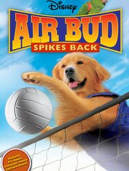 Air Bud, l'as du volley-ball