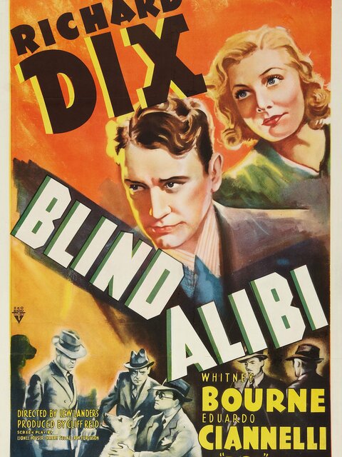 Blind Alibi