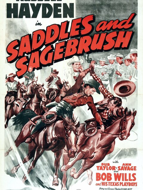 Saddles and Sagebrush