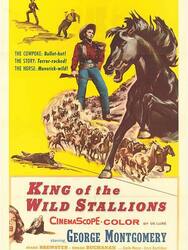 King of the Wild Stallions