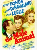 The Male Animal