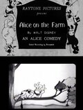 Alice on the Farm