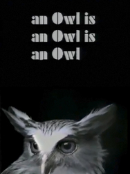 An Owl Is an Owl Is an Owl