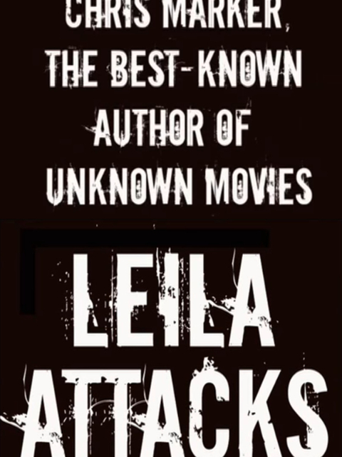 Leila Attacks