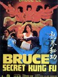 Bruce's Secret Kung Fu