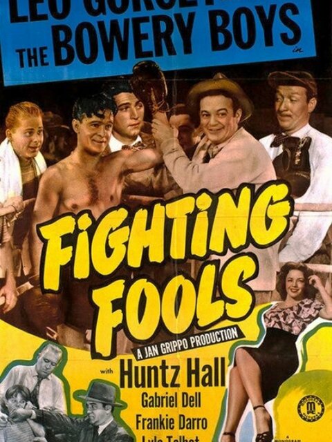 Fighting Fools