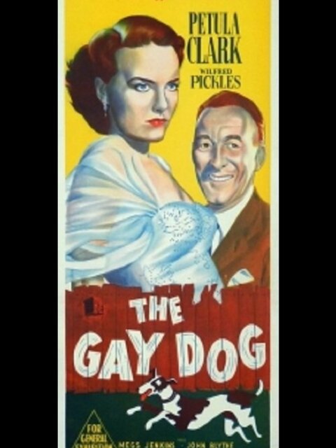 The Gay Dog