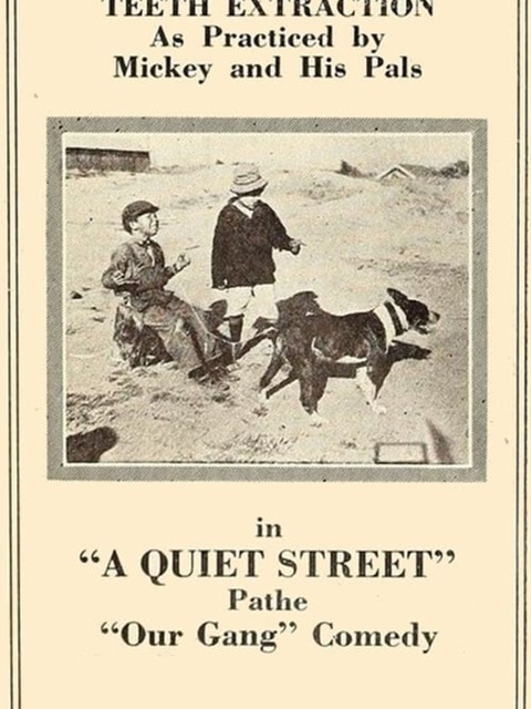 A Quiet Street