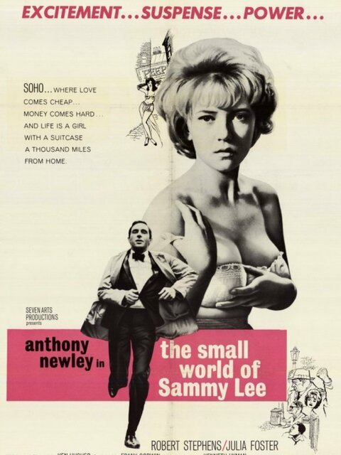 The Small World of Sammy Lee