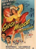 Gypsy Wildcat