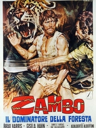 Zambo, le maître de la jungle