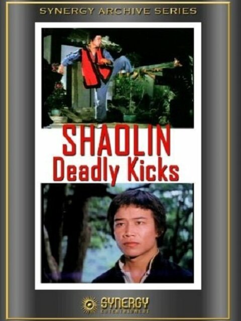 Shaolin Deadly Kicks