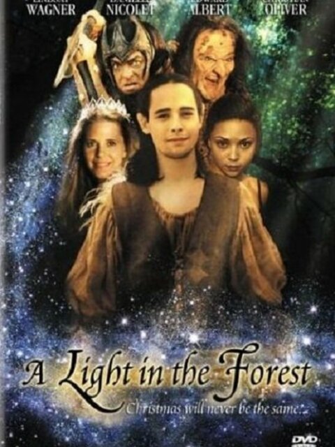 A Light in the Forrest