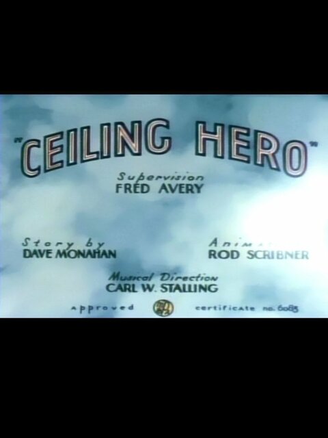 Ceiling Hero