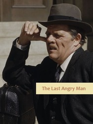 The Last Angry Man