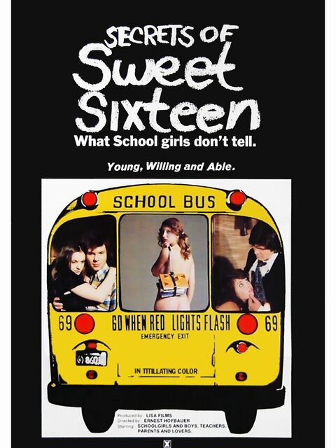 Secrets of Sweet Sixteen