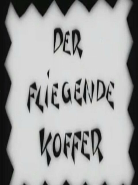 Der fliegende Koffer