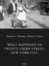 What Happened on Twenty-Third Street, New York City