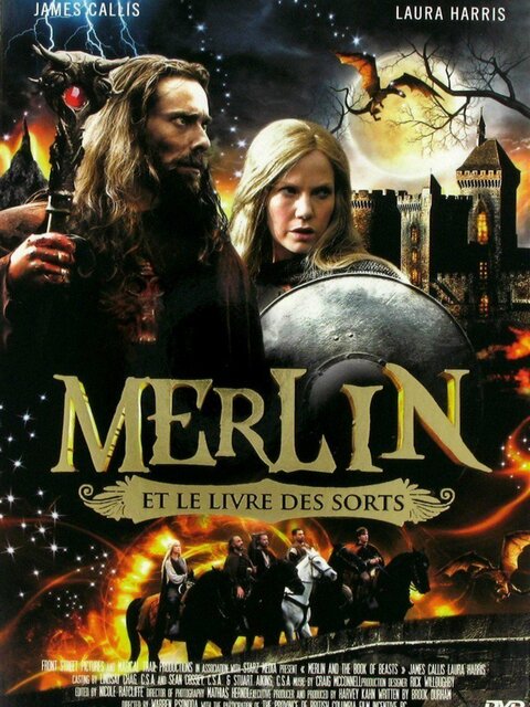 Merlin et le livre des sorts