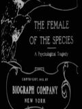 The Female of the species