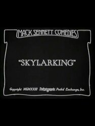 Skylarking