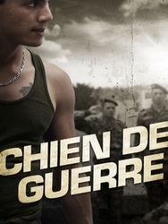 Chien de guerre