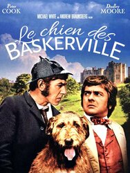 Le chien des Baskerville