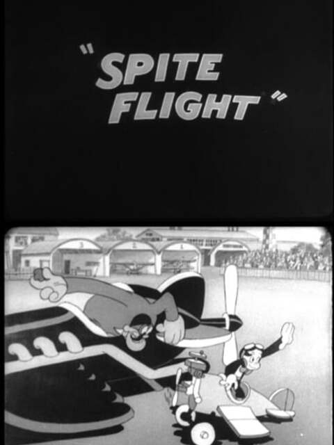 Spite Flight