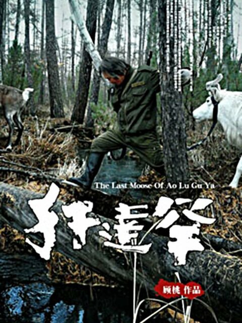 The Last Moose Of Ao Lu Gu Ya