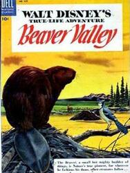 Beaver Valley